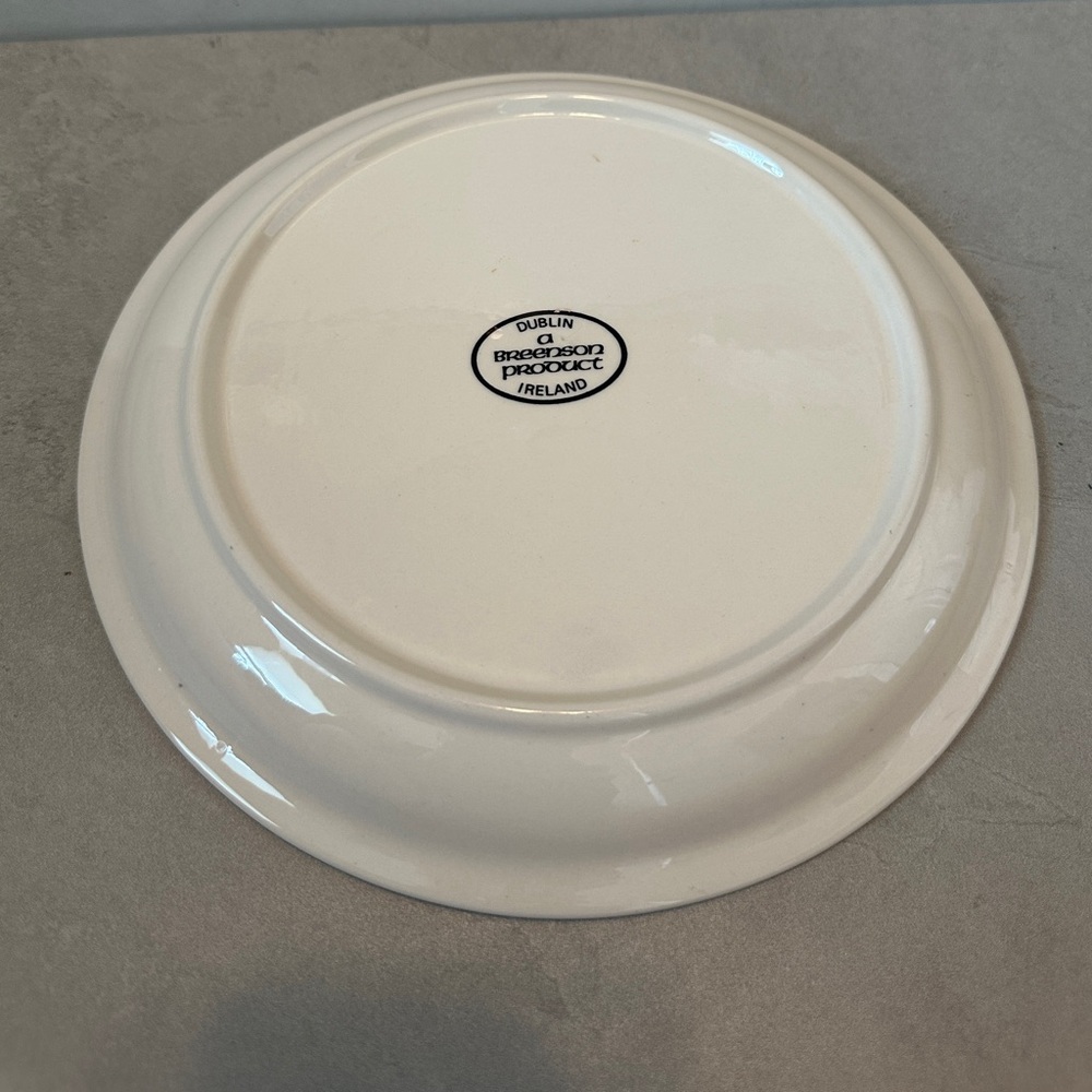 VINTAGE “CITIES OF IRELAND”SOUVENIR CERAMIC PLATE 9” A BREENSON PRODUCT DUBLIN - Picture 4 of 5
